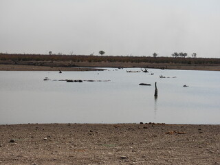 Road trip Aug 2025 2 