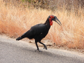 Road trip Aug 2025 2 