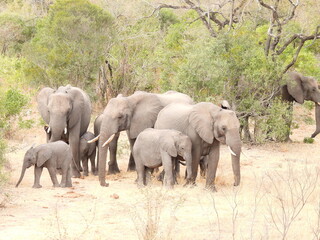 Road trip Aug 2025 2 