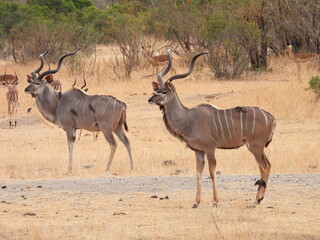 Road trip Aug 2025 2 