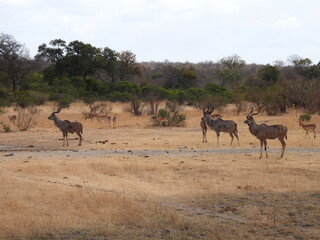 Road trip Aug 2025 2 