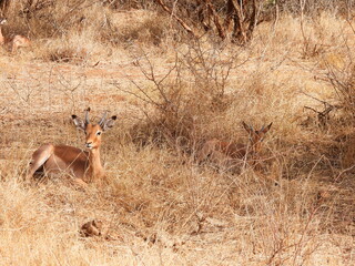 Road trip Aug 2025 2 