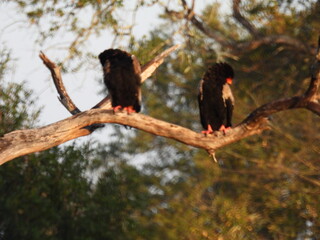 Road trip Aug 2025 2 