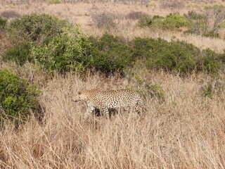 Road trip Aug 2025 2 