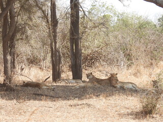 Road trip Aug 2025 2 