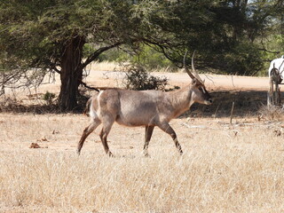 Road trip Aug 2025 2 