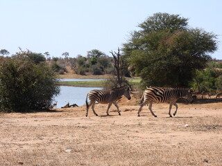 Road trip Aug 2025 2 