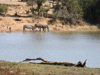 Road trip Aug 2025 2 