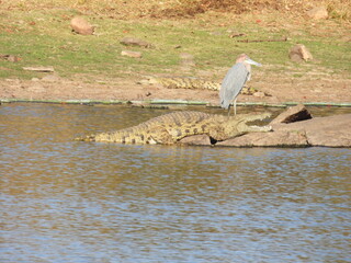 Road trip Aug 2025 2 