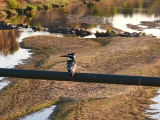 Road trip Aug 2025 2 