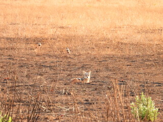 Road trip Aug 2025 2 