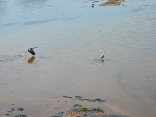 Road trip Aug 2025 2 