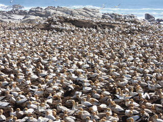 Road trip Aug 2025 2 