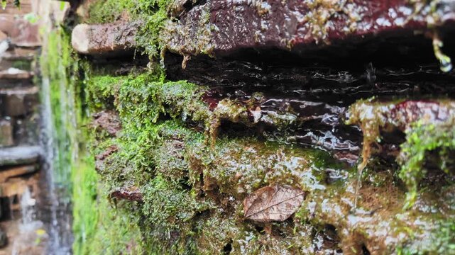 Close-up of a moss-covered stone wall with water gently seeping and flowing through natural channels, showing rich texture, moisture, and an aged natural surface.