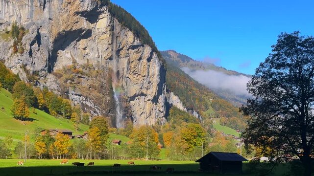 Lauterbrunnen Valley Staubbach Falls moonbow waterfall rainbow Bernese Highlands Switzerland Schweiz sunny morning blue sky fog Fall Autumn Swiss Alps canyon massive cliffside cows pasture landscape