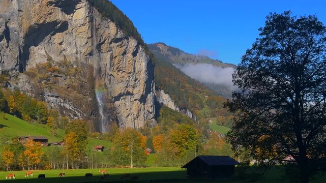 Lauterbrunnen Valley Staubbach Falls moonbow waterfall rainbow Bernese Highlands Switzerland Schweiz sunny morning blue sky Fall Autumn Swiss Alps canyon massive cliffside cows pasture landscape road
