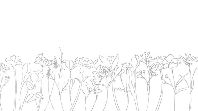 植物の線画イラスト。植物のベクターイラスト背景。葉っぱと花の背景フレーム。 Botanical line art illustration. Botanical vector illustration background. Leaves and flowers background frame.