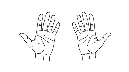 Fototapeta premium Simple black and white line drawing of two human open palms shown from the front side against a clean white background.