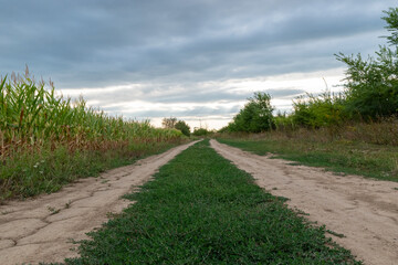 Obraz premium Rural Dirt Road With Dramatic Sky