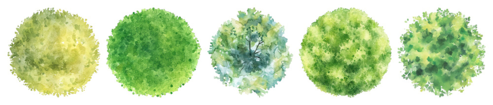 PNG Watercolor green foliage circles, transparent background