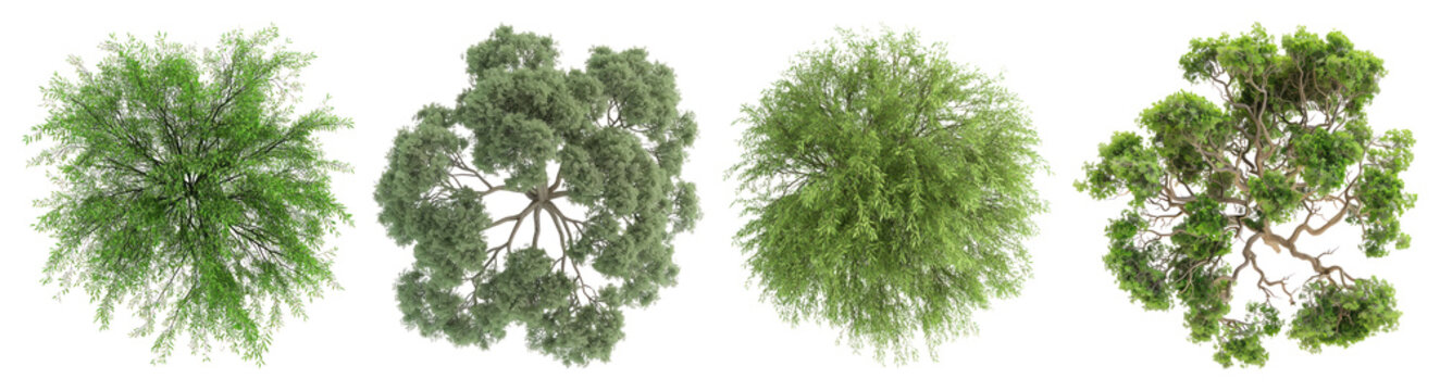 PNG Lush aerial tree canopy views, element set on transparent background