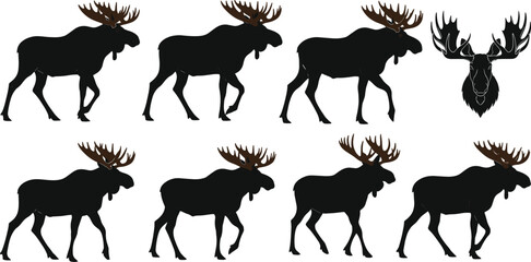 Fototapeta premium Moose silhouette vector set featuring standing poses and head emblem, black wildlife illustration for forest animal logo, nature design, hunting graphics collection