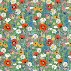 Seamless wild meadow flower pattern with poppies daisies dandelions and herbs, colorful hand drawn botanical illustration for textile wallpaper and surface design