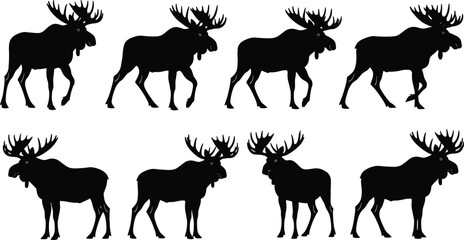 Fototapeta premium Set of moose silhouette icons in walking and standing poses, wild forest animal vector collection for wildlife logos, hunting graphics, and nature designs