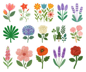 Fototapeta premium PNG Colorful floral illustration collection, transparent background