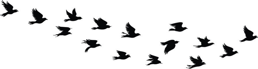 Obraz premium Flying birds silhouette flock, birds in flight sky nature freedom migration black flat vector illustration design minimal wildlife background art