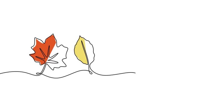 Autumn Maple Leaf Continuous Line Animation For Seasonal Fall Decoration