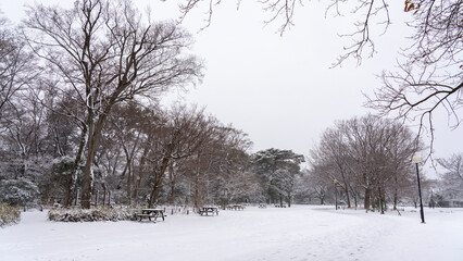 Obraz premium Snow Falling Over a Peaceful Park in Tokyo City