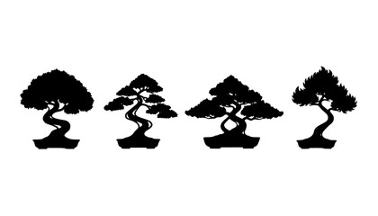 Bonsai Tree