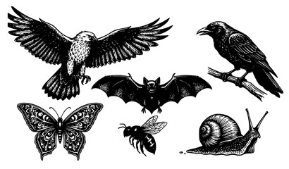 Decorative vintage wildlife engraving animal and insect vector elements © Md