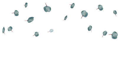 Eucalyptus leaves drift isolated transparent background 3D render © S_Designs