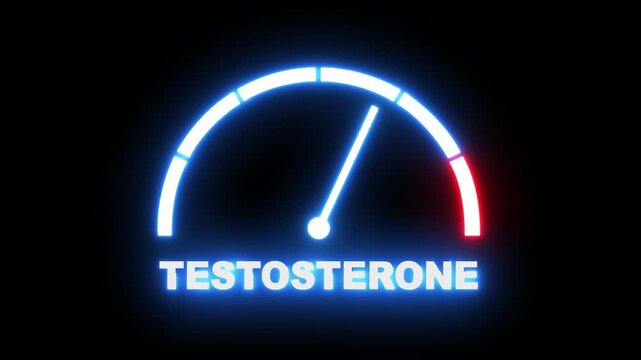 Testosterone level meter showing progress from beginner low blue zone to expert high redzone. Testosterone level speedometer gauge with low and high levels.