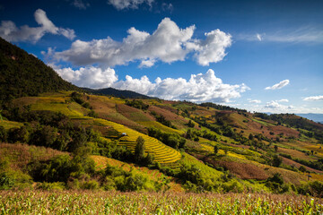 landscape rice terraces in the moutain and blue sky with cloud
