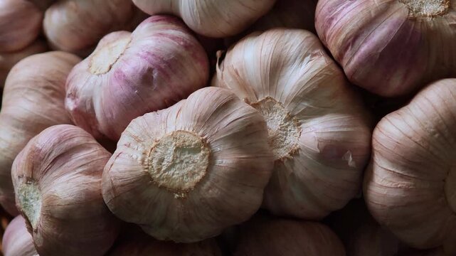 Close-up view of fresh garlic