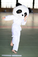 道場で鋭い上段蹴りを繰り出すパンダの着ぐるみ　ユニークな空手の武道イメージ