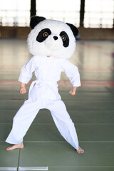 道場で鋭い上段蹴りを繰り出すパンダの着ぐるみ　ユニークな空手の武道イメージ