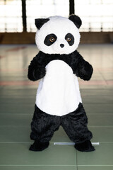 道場で鋭い上段蹴りを繰り出すパンダの着ぐるみ　ユニークな空手の武道イメージ