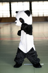 道場で鋭い上段蹴りを繰り出すパンダの着ぐるみ　ユニークな空手の武道イメージ