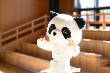 道場で鋭い上段蹴りを繰り出すパンダの着ぐるみ　ユニークな空手の武道イメージ