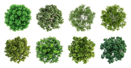 Obraz premium PNG Diverse aerial tree canopy collection on transparent background
