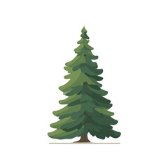 Fototapeta premium Ponderosa Pine Tree illustrated in a clean 2D flat vector style, minimal and modern, isolated on a white background.