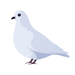 Fototapeta premium Modern flat 2D vector illustration of Dove, clean and minimal design, isolated on white background.
