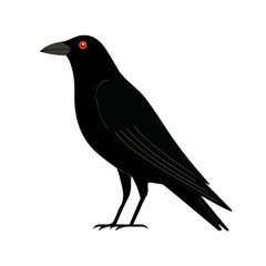 Fototapeta premium Raven in a clean 2D flat vector icon style, minimal and simple, set on a plain white background.