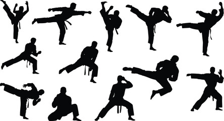 Set of martial arts silhouettes featuring karate and taekwondo fighters performing high kicks, powerful punches, and various combat sports poses. (Exactly 20 words) © Md