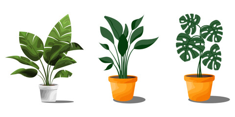Houseplant Collection – Indoor Plants in Modern Minimalist Style © Gung