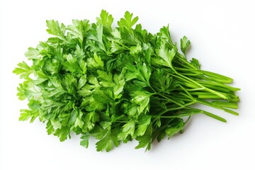 Obraz premium Fresh Parsley Bunch